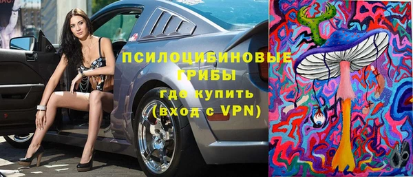 шишки Арсеньев