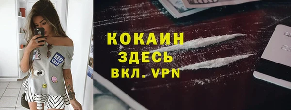 шишки Арсеньев