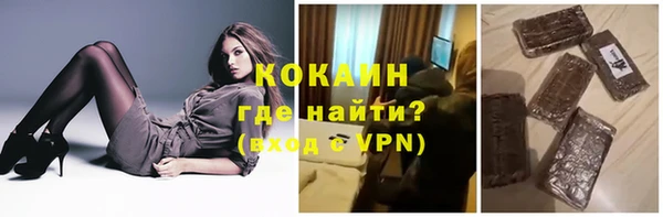 шишки Арсеньев