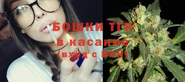 стаф Аркадак