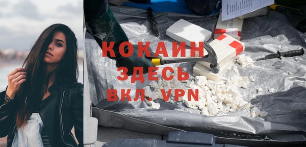 стаф Аркадак