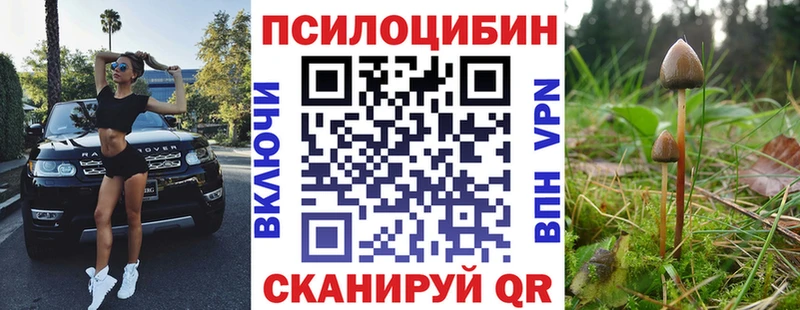 цена наркотик  Ряжск  Галлюциногенные грибы мицелий 